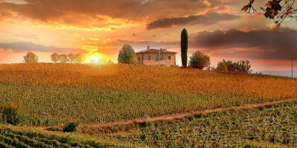 Wine Route of Chianti di Montespertoli Wine Route of Chianti di Montespertoli